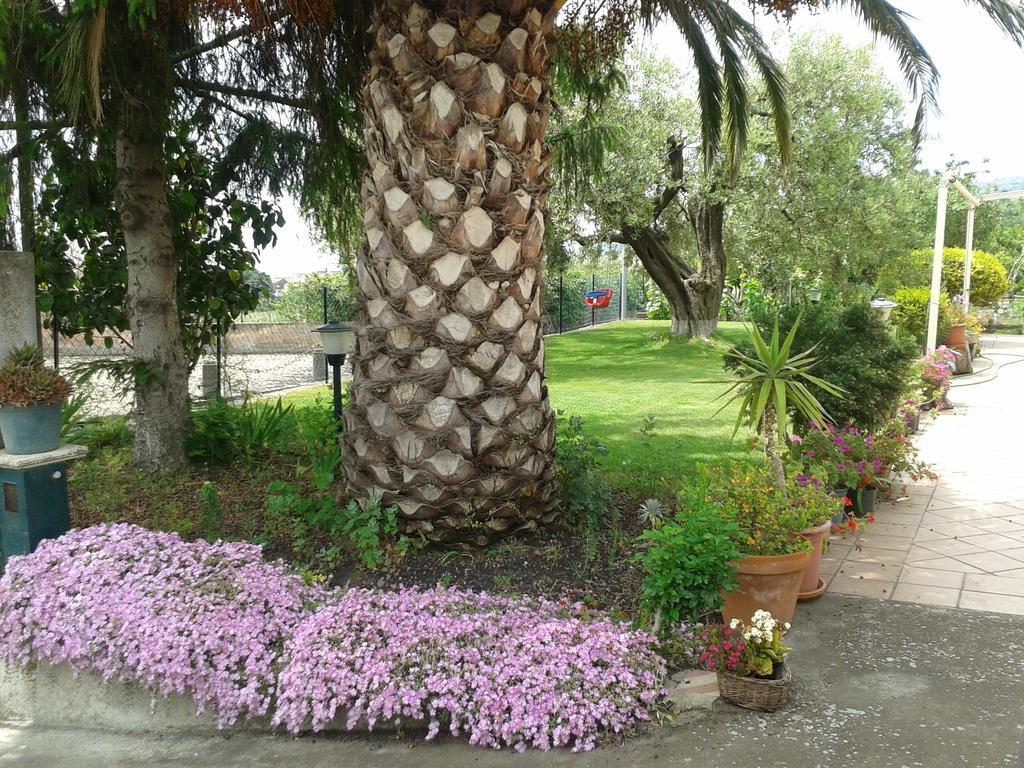 Villa Etna Piedimonte Etneo Exterior foto