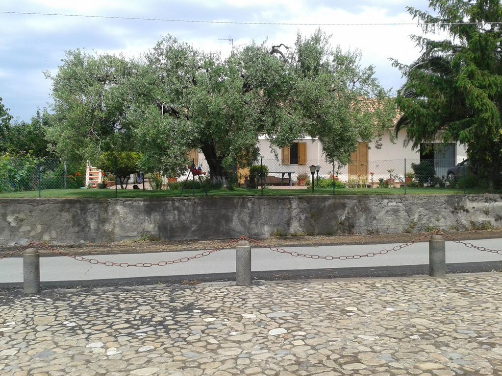 Villa Etna Piedimonte Etneo Exterior foto